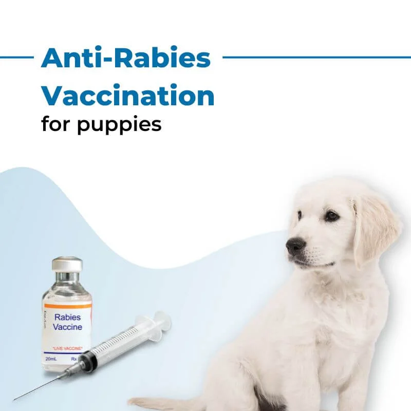 Rabies Vaccine