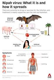 Nipah Virus