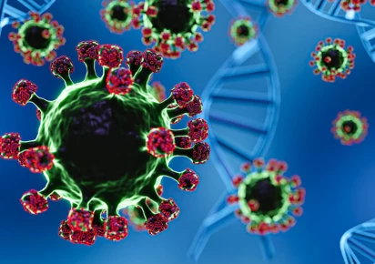 Nipah Virus