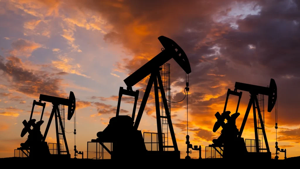 Oil