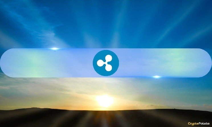 XRP Makes Crypto History With 13 Straight Years in the Top 10 Crypto